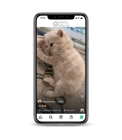 Buy Kitty Cat Instagram Account