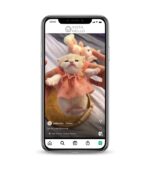 Buy Kitty IG account