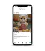 Buy Kitty IG account