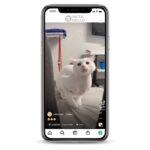 Buy Kitty IG account