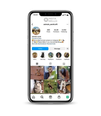 Buy Animal Instagram Accounts