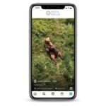 Buy Animal Instagram Accounts