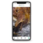 Food Instagram Account