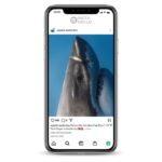 rk Fish Instagram Account, 10K followers instagram accounts for sale on the InstaNello. Dangerous Instagram Accounts. Buy Fish Shop IG account