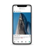 rk Fish Instagram Account, 10K followers instagram accounts for sale on the InstaNello. Dangerous Instagram Accounts. Buy Fish Shop IG account