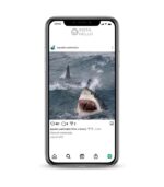 Buy Fish Shop IG account