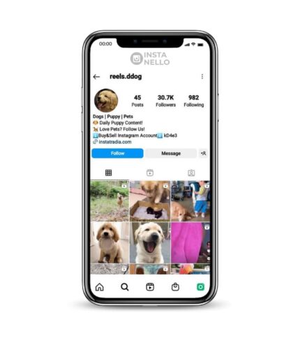 Buy Dogs Reels Instagram Account,