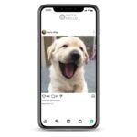 30K followers instagram accounts for sale on the InstaNello.