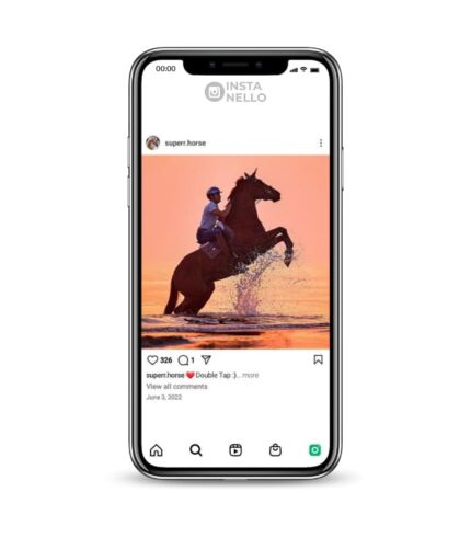 Buy Horse Lifesyle Instagram Account,