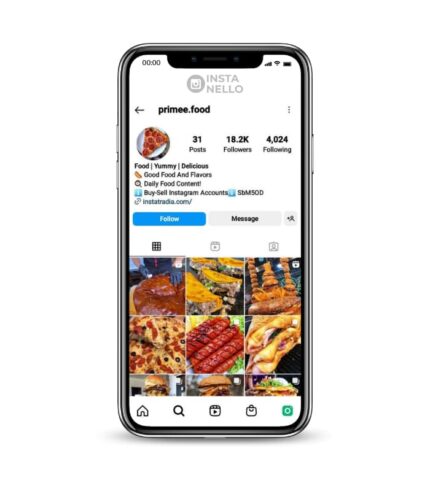 Buy Hamburger Blog Instagram Account,