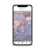 Buy Animals World Instagram Account, 20K followers instagram accounts for sale on the InstaNello. Animal Instagram Accounts. Buy Hunt Pets IG account