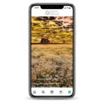 Photography Instagram Accounts.