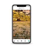 Photography Instagram Accounts.