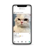 Buy Sweety Cat Instagram Accountt, 2K followers instagram accounts for sale on the InstaNello. Active Cat Instagram Accounts. Buy Kitty IG account
