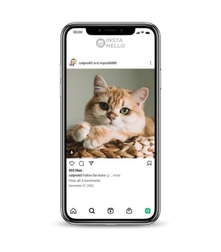 Buy Sweety Cat Instagram Accountt, 2K followers instagram accounts for sale on the InstaNello. Active Cat Instagram Accounts. Buy Kitty IG account