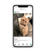 buy fashion instagram account instagram account for sale active instagram accounts for sale instagram page for sale 100k instagram account for sale buy instagram accounts instagram account sale instagram accounts for sale cheap instagram accounts for sale 50k instagram account for sale for sale instagram account instatradia instagram pages for sale