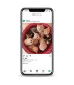 buy fashion instagram account instagram account for sale active instagram accounts for sale instagram page for sale 100k instagram account for sale buy instagram accounts instagram account sale instagram accounts for sale cheap instagram accounts for sale 50k instagram account for sale for sale instagram account instatradia instagram pages for sale