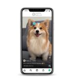 Buy Dogs IG account