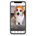 Buy Puppy Reels Instagram Account