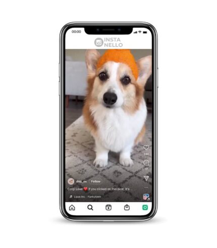 Buy Puppy Reels Instagram Account