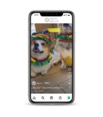 Buy Sweety Dog Instagram Account,