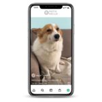 25K followers instagram accounts for sale on the InstaNello.