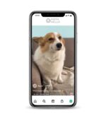 25K followers instagram accounts for sale on the InstaNello.
