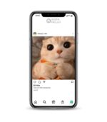 Blog Instagram Accounts.