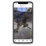 Buy Bird Lover Instagram Account