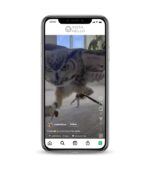 Buy Bird Lover Instagram Account