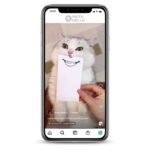 Cat Instagram Accounts