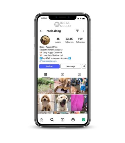 Buy Dog Instagram Account