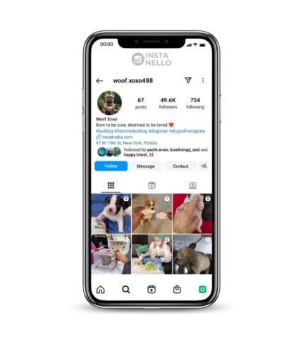 Buy French Bulldog Instagram Account