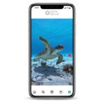 Buy Ocean Life Instagram Account