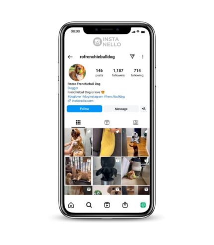 Buy French Bulldog Instagram Account
