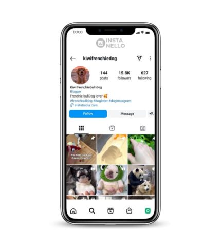 Buy French Bulldog Instagram Account