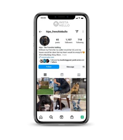 Buy French Bulldog Instagram Account