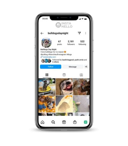 Buy French Bulldog Instagram Account