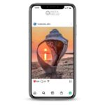 Buy Ocean Life Instagram Account