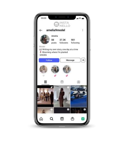 Buy Fake Girl Instagram Account