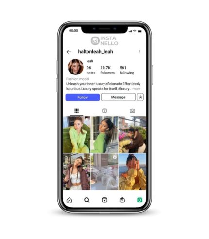 Buy Fake Girl Instagram Account